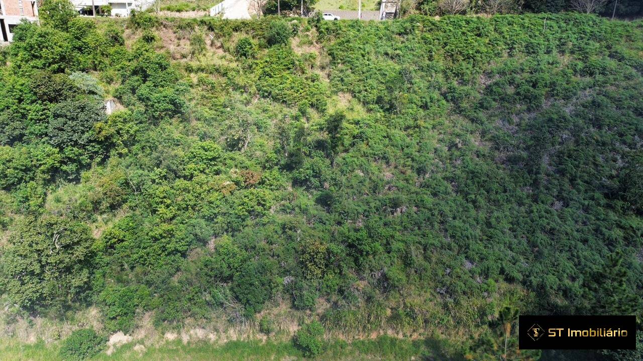 Terreno, 2 hectares - Foto 4