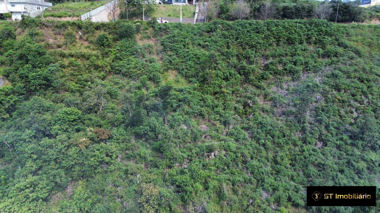 Terreno, 2 hectares - Foto 5