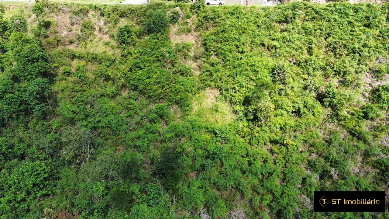 Terreno, 2 hectares - Foto 1