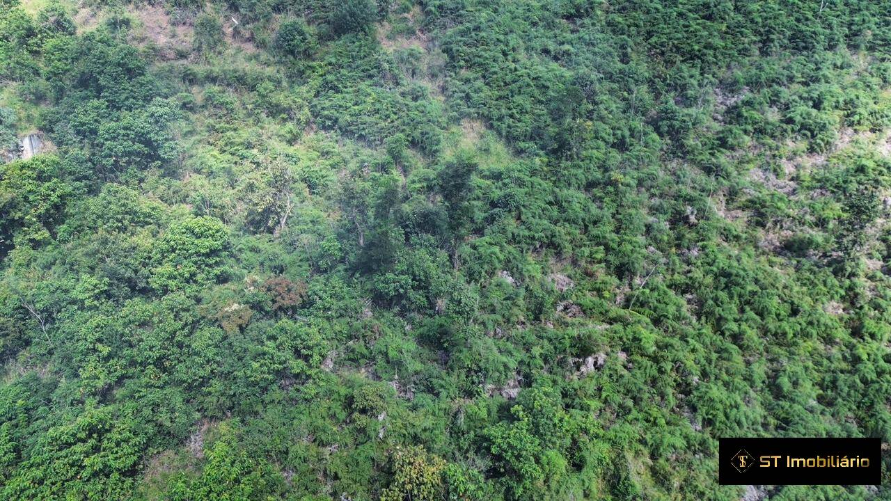 Terreno, 2 hectares - Foto 6