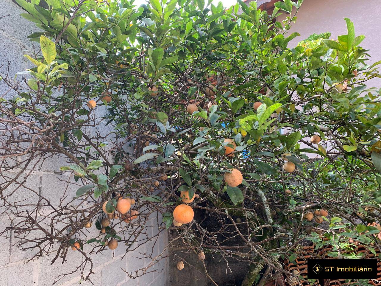 Chácara, 5 quartos, 800 m² - Foto 33