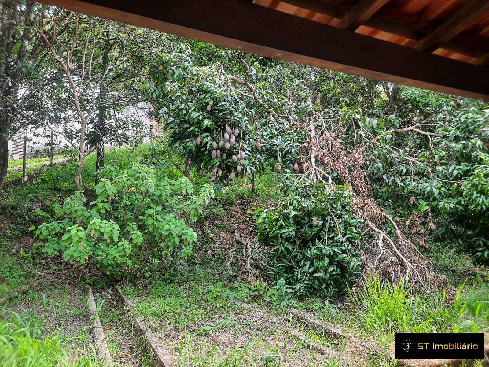 Chácara à venda com 3 quartos, 2000m² - Foto 26