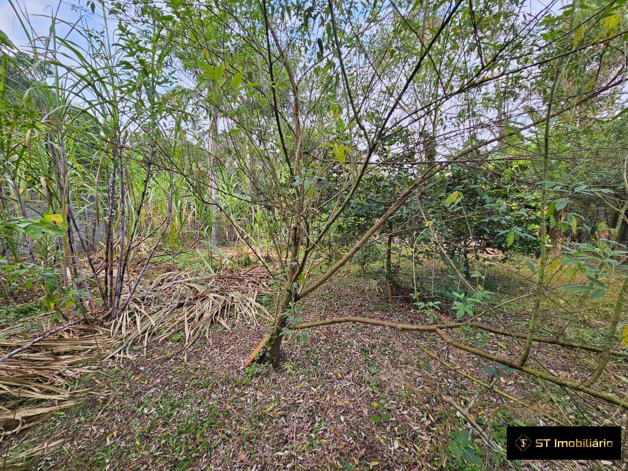 Chácara à venda com 3 quartos, 150m² - Foto 23