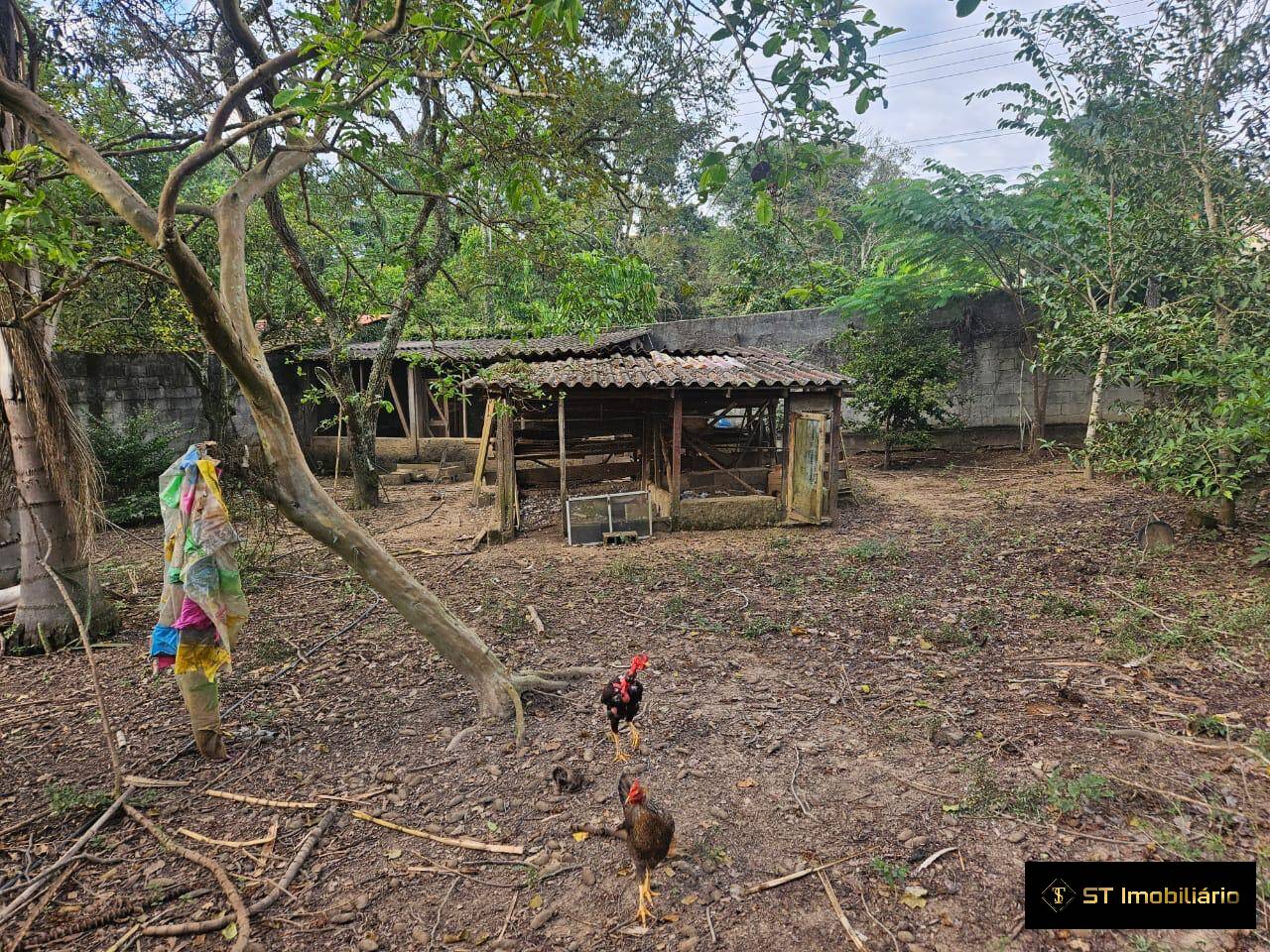 Chácara à venda com 3 quartos, 150m² - Foto 20