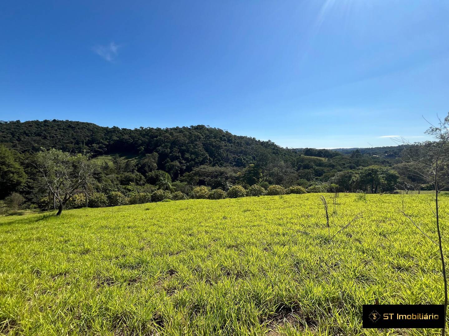 Sítio, 3 quartos, 3 hectares - Foto 4