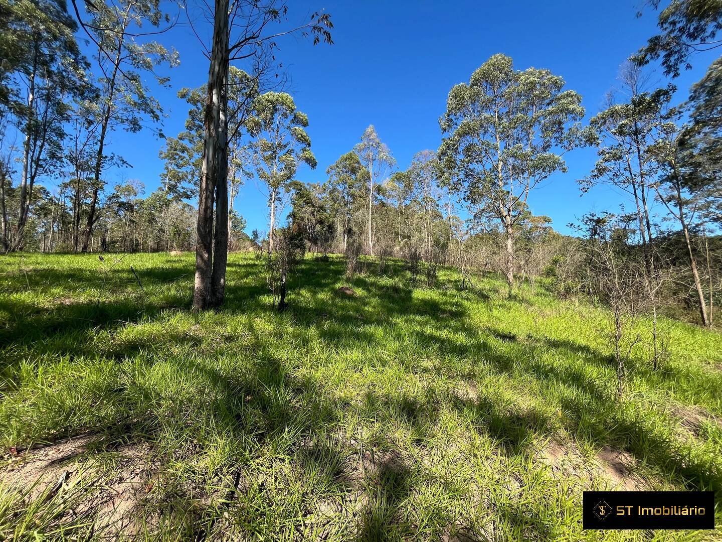 Sítio, 3 quartos, 3 hectares - Foto 6