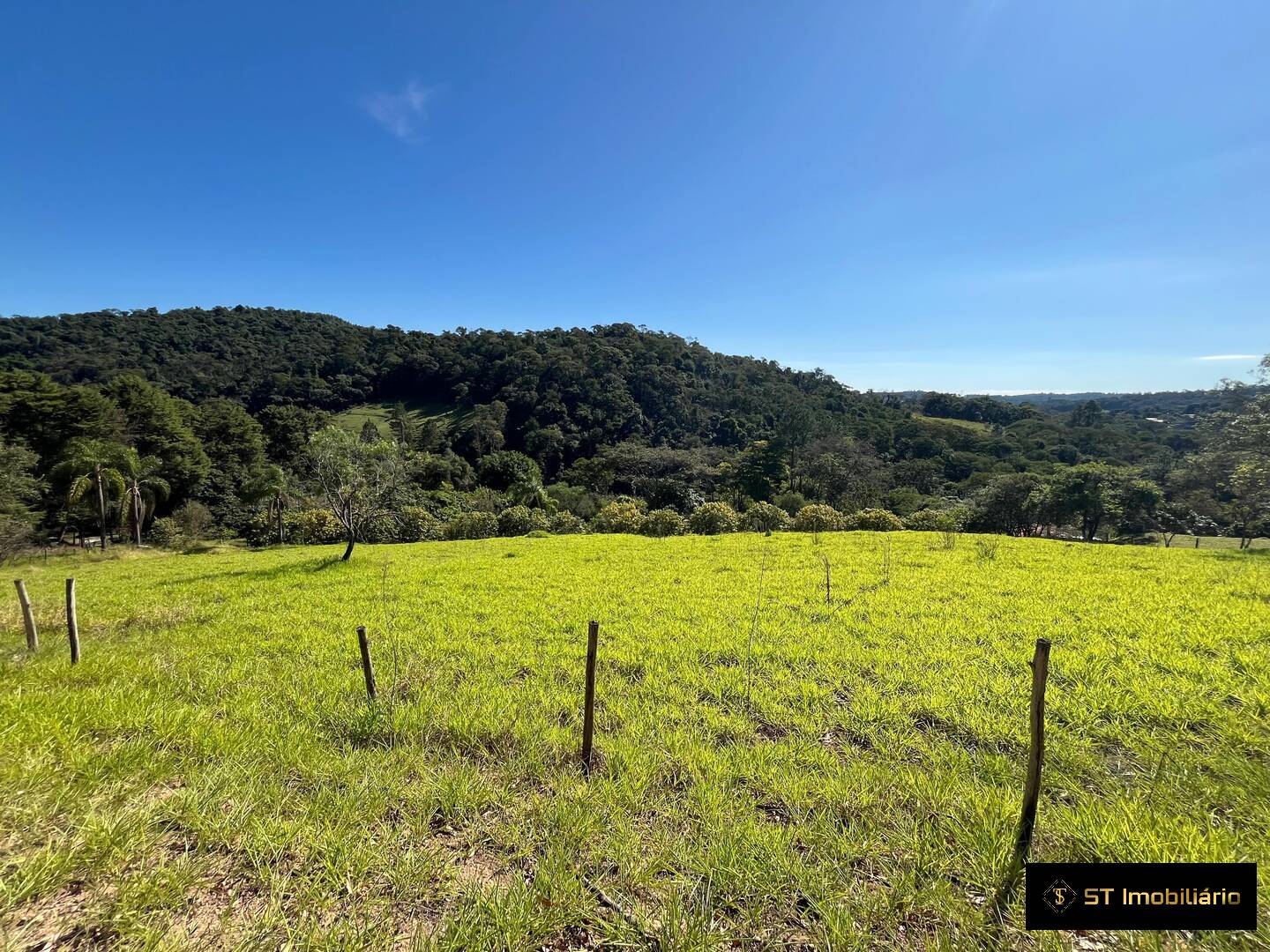 Sítio, 3 quartos, 3 hectares - Foto 7