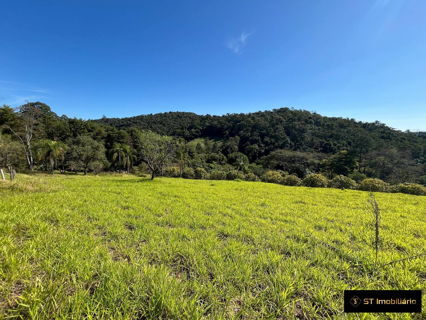 Sítio, 3 quartos, 3 hectares - Foto 5