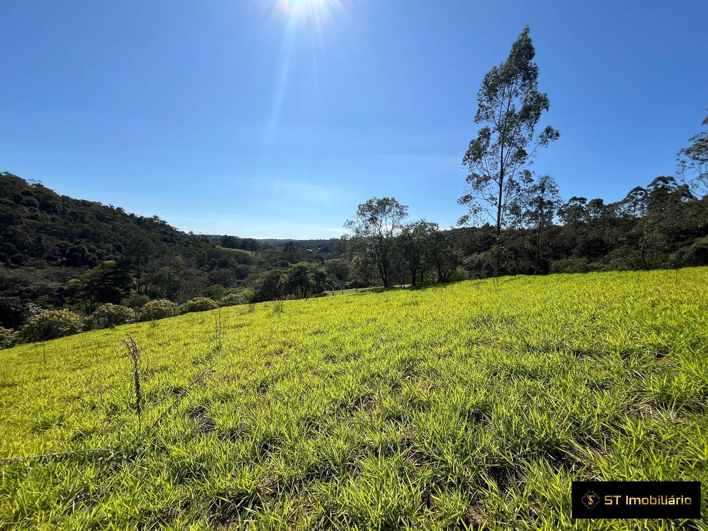 Sítio, 3 quartos, 3 hectares - Foto 22