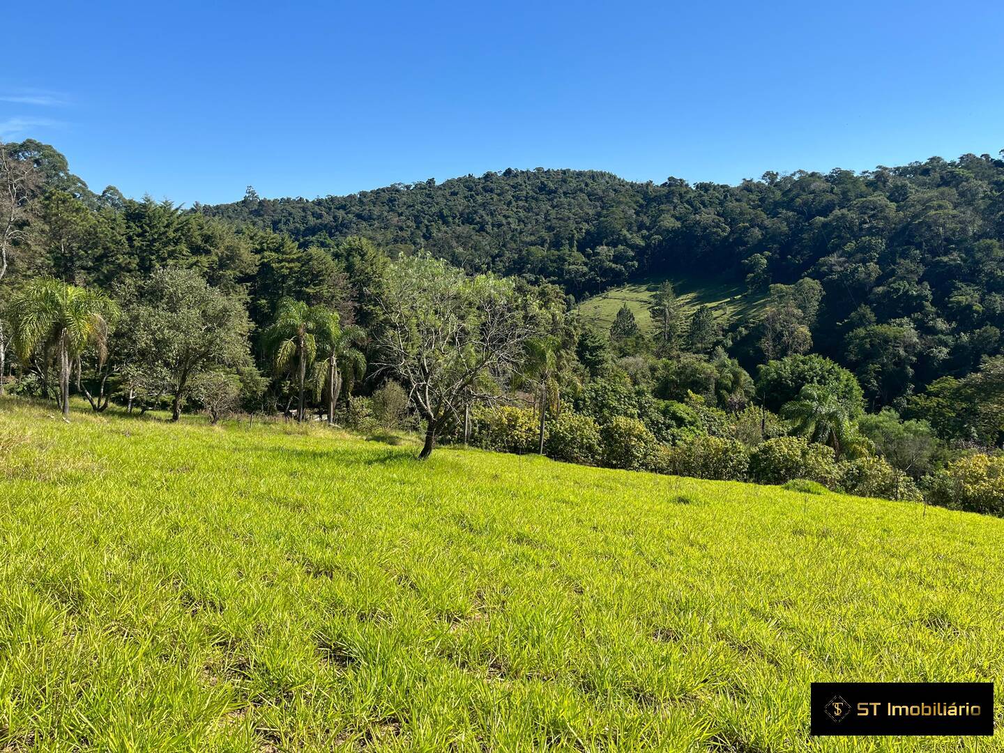 Sítio, 3 quartos, 3 hectares - Foto 24