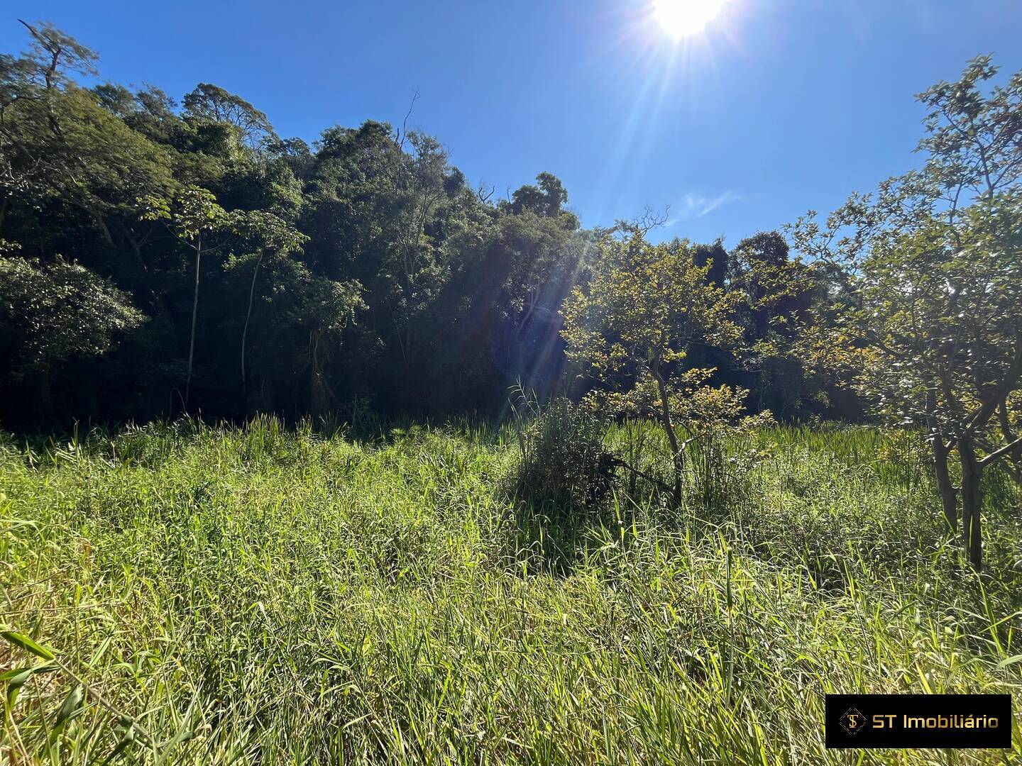 Sítio, 3 quartos, 3 hectares - Foto 32