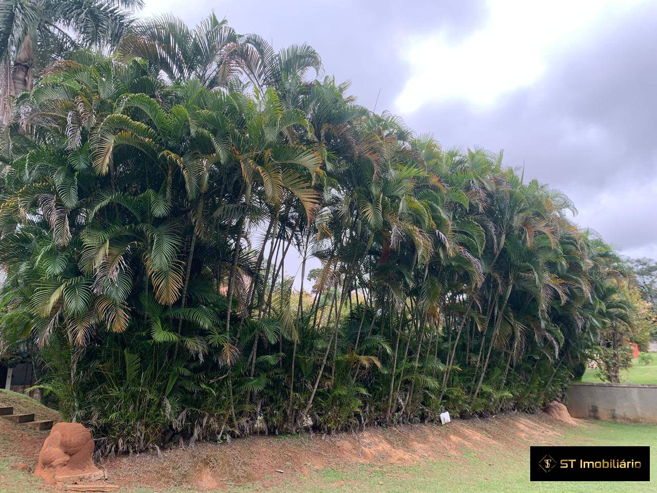 Chácara, 3 quartos, 2000 m² - Foto 11