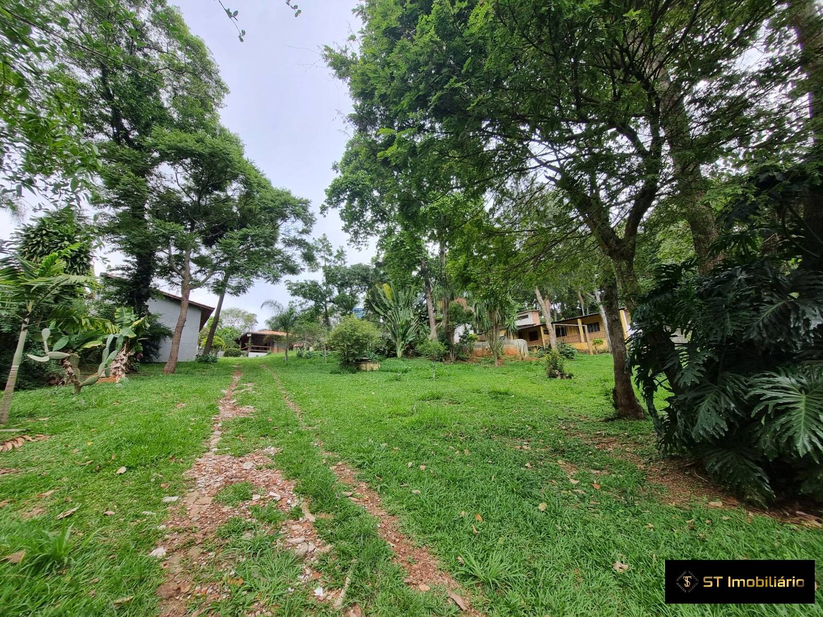Chácara à venda com 5 quartos, 350m² - Foto 6