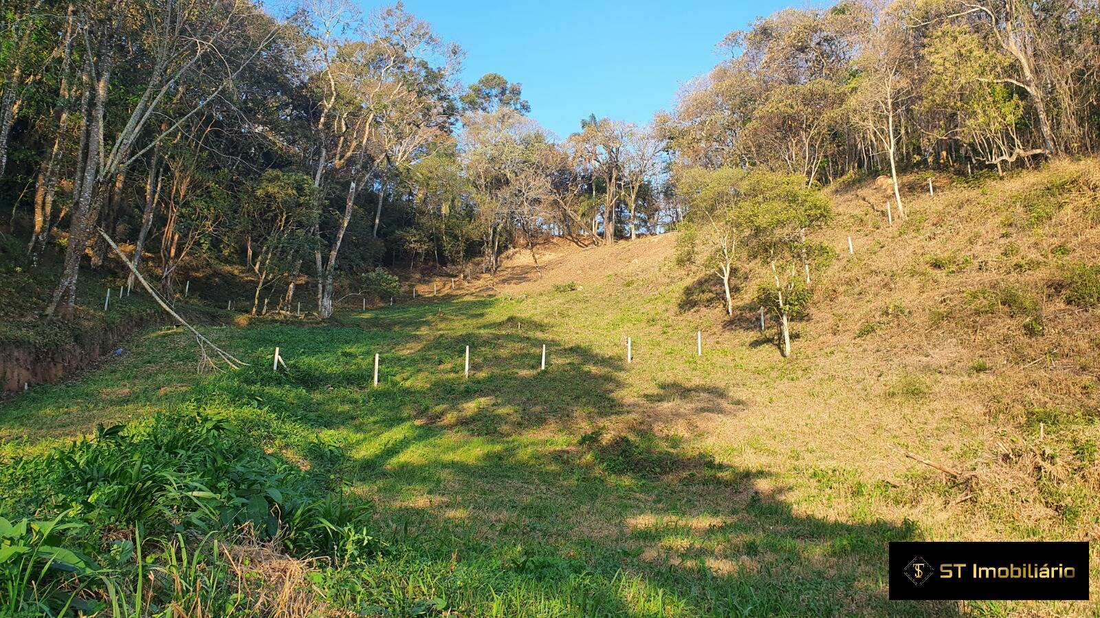 Terreno, 5994 m² - Foto 1