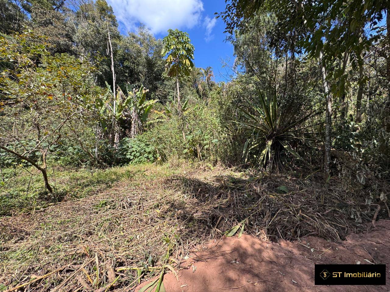 Terreno, 1750 m² - Foto 3