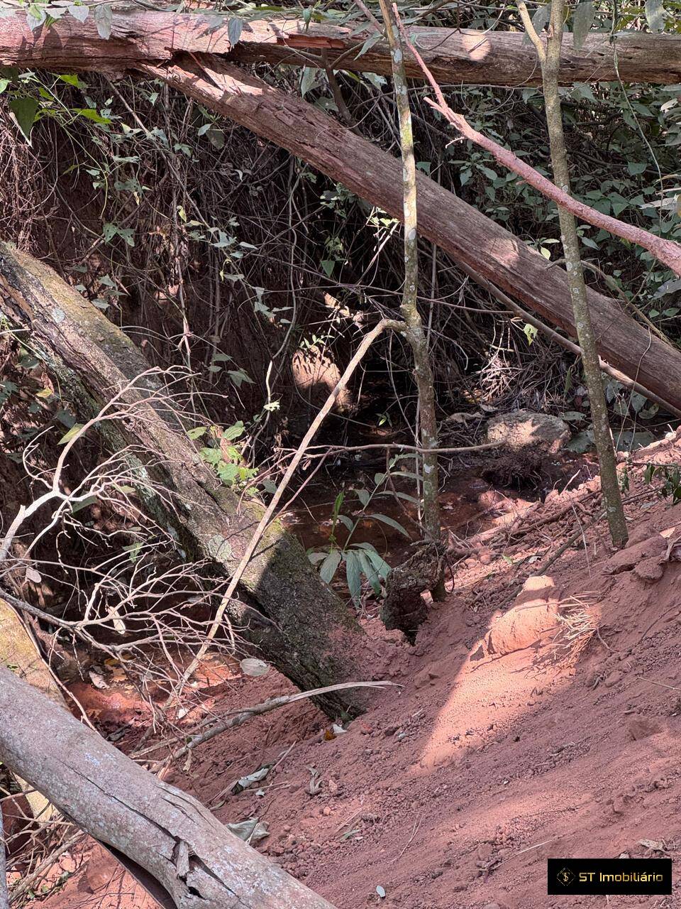 Terreno, 1750 m² - Foto 9