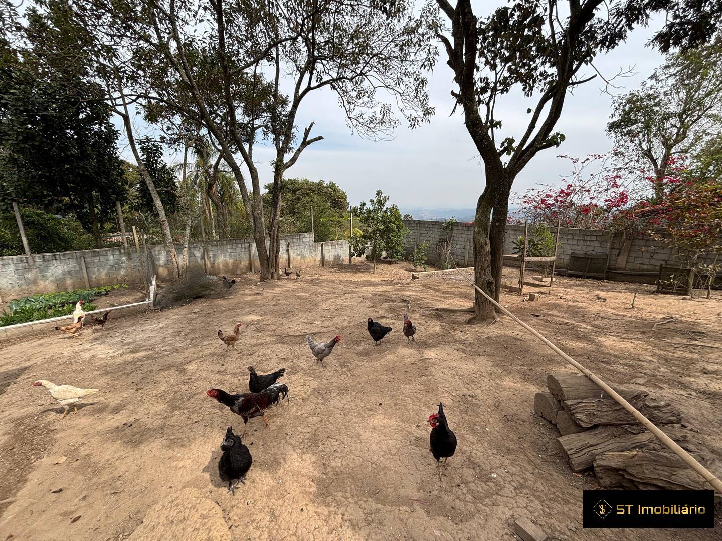Chácara à venda com 3 quartos, 272m² - Foto 21