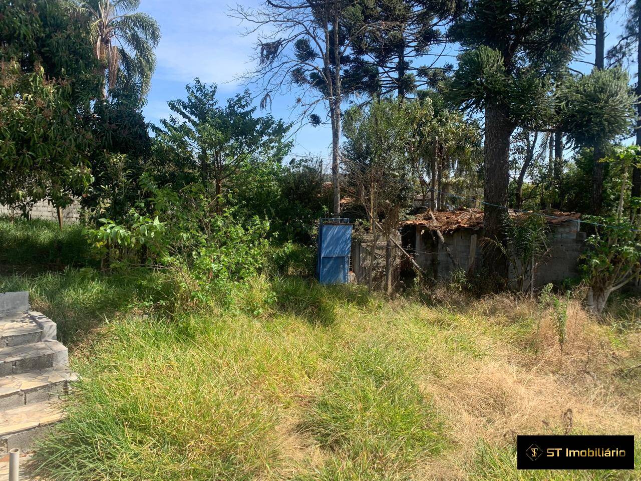 Chácara à venda com 3 quartos, 2000m² - Foto 5