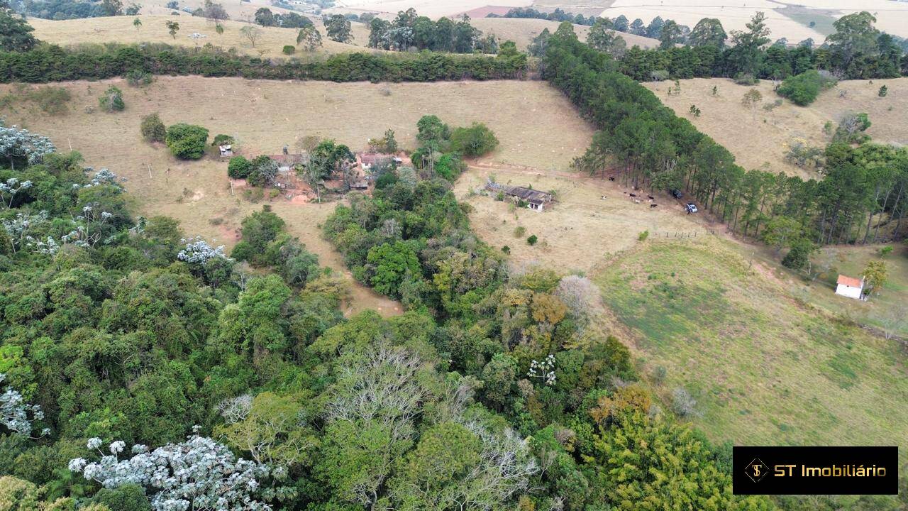 Sítio, 4 quartos, 19 hectares - Foto 9