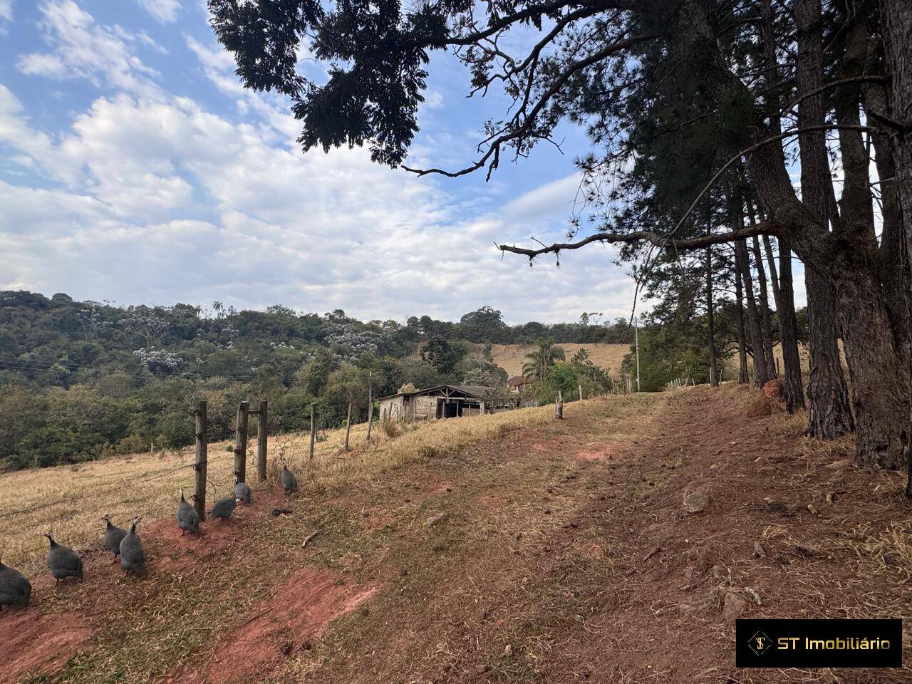 Sítio, 4 quartos, 19 hectares - Foto 14