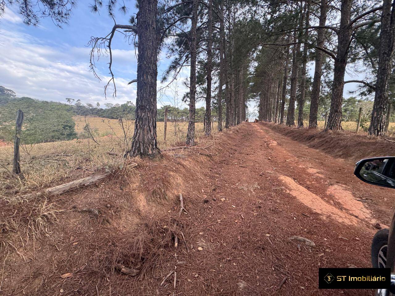 Sítio, 4 quartos, 19 hectares - Foto 20