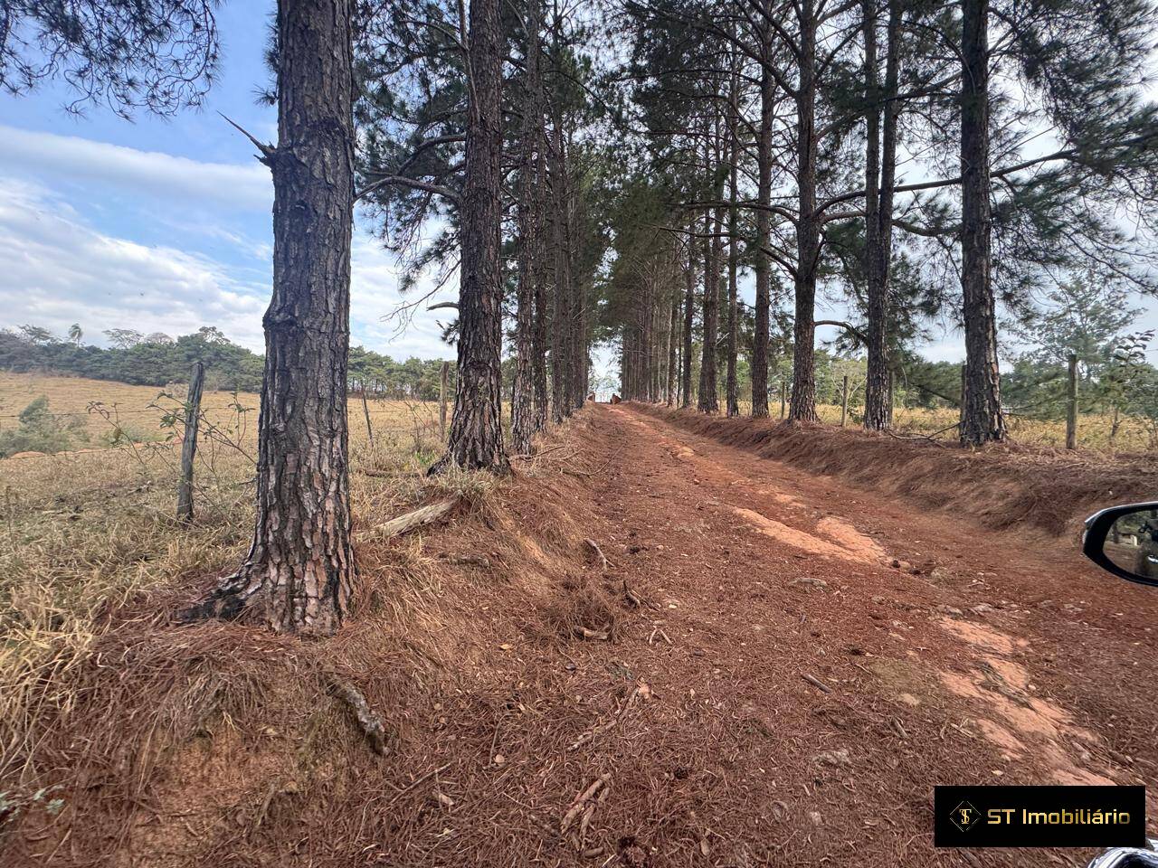 Sítio, 4 quartos, 19 hectares - Foto 23