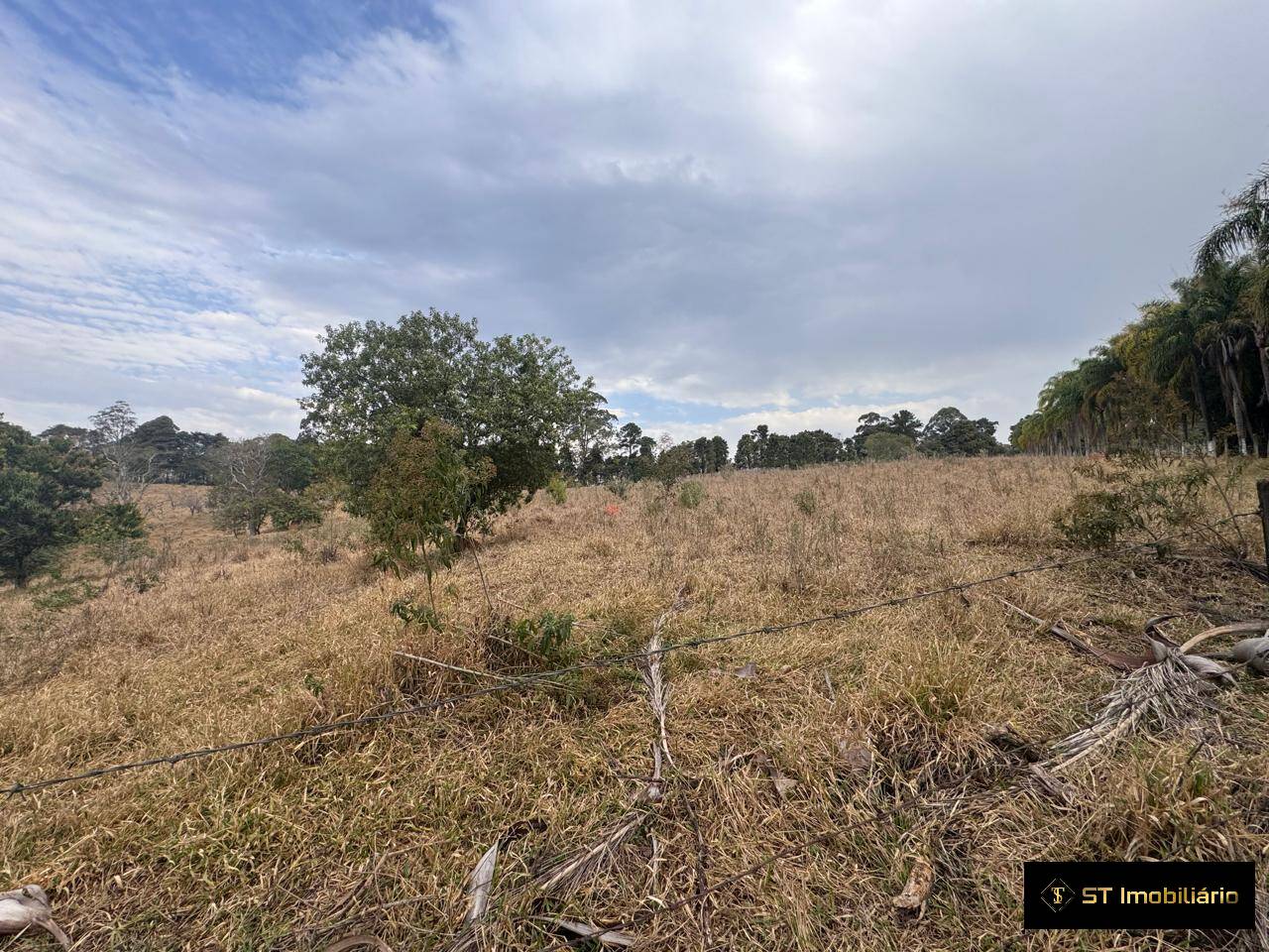 Sítio, 4 quartos, 19 hectares - Foto 36