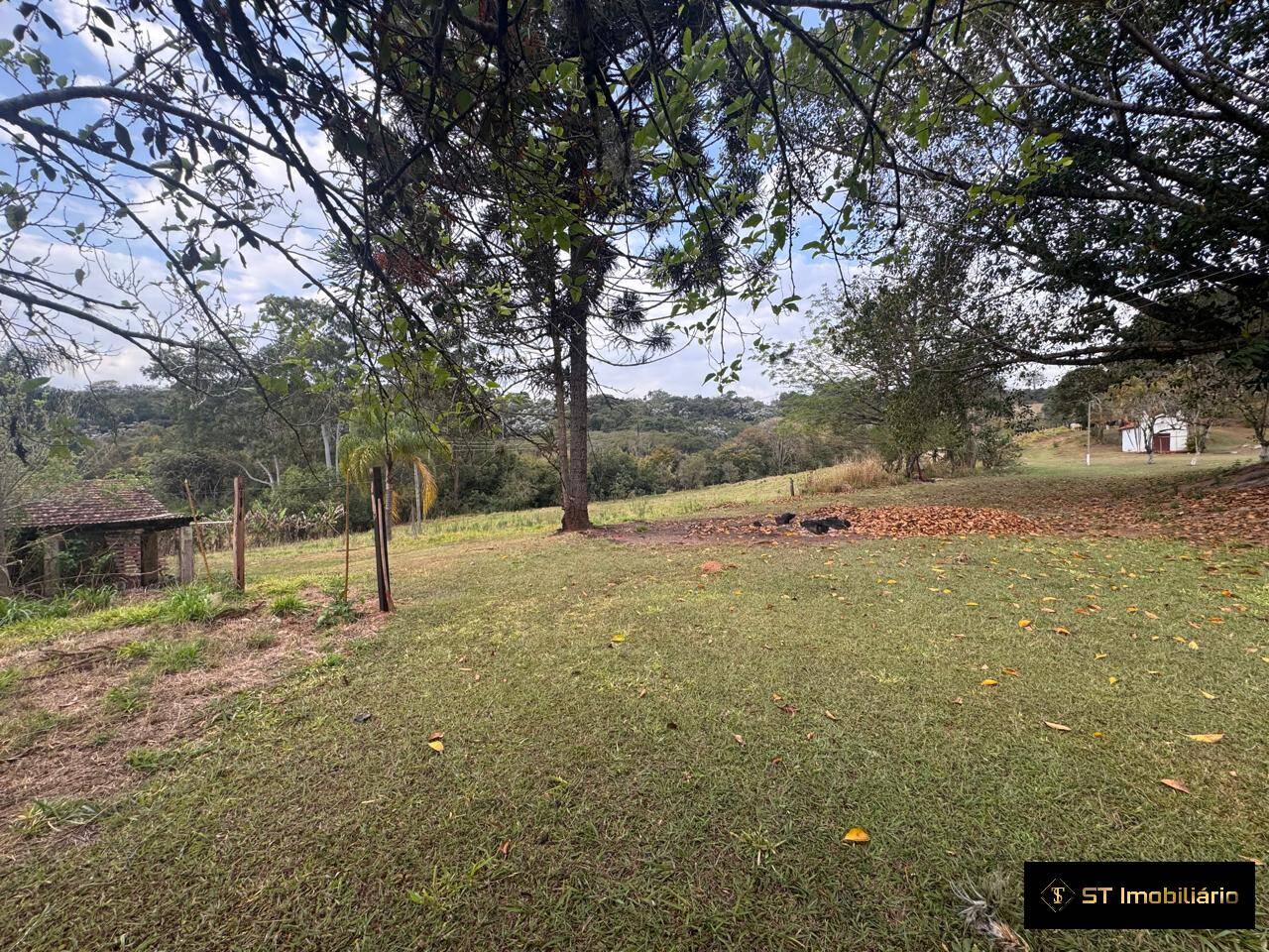 Sítio, 4 quartos, 19 hectares - Foto 41