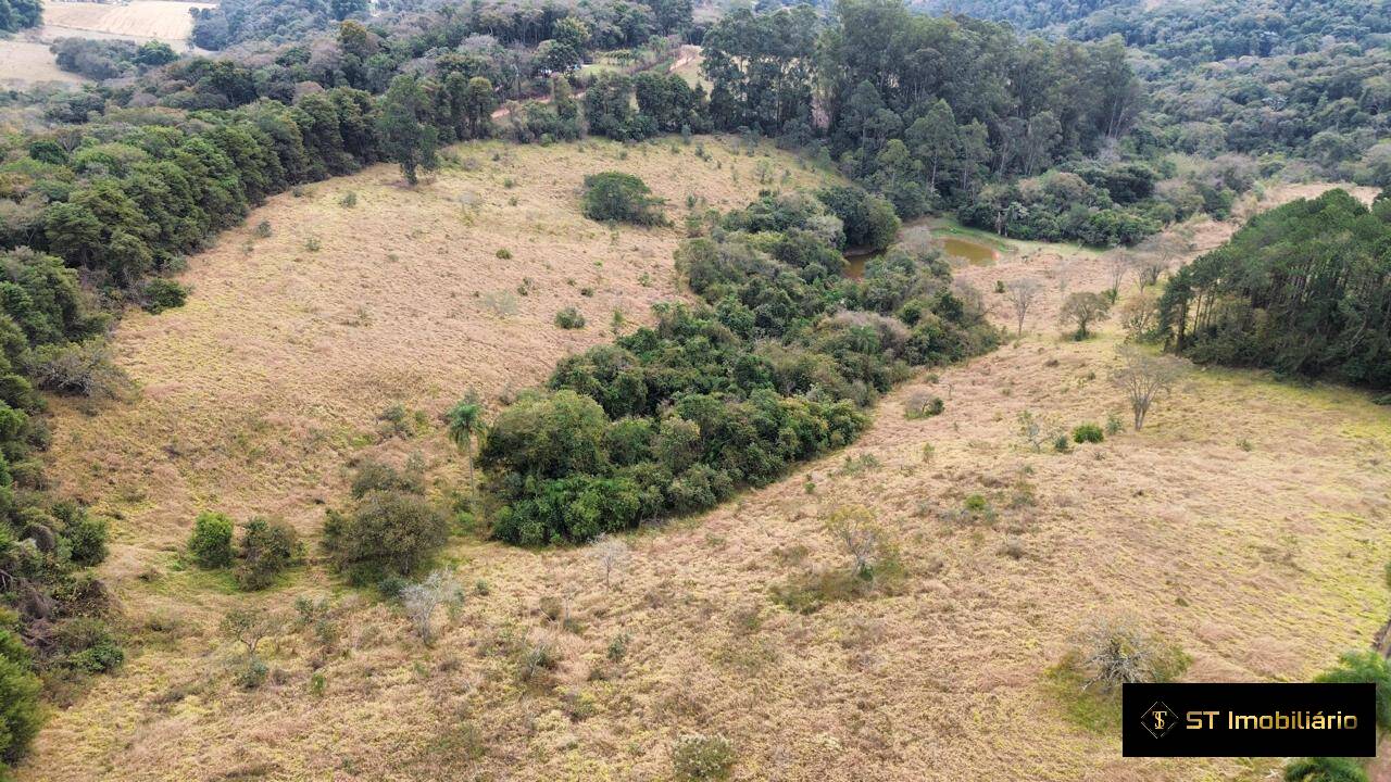 Sítio, 4 quartos, 19 hectares - Foto 52