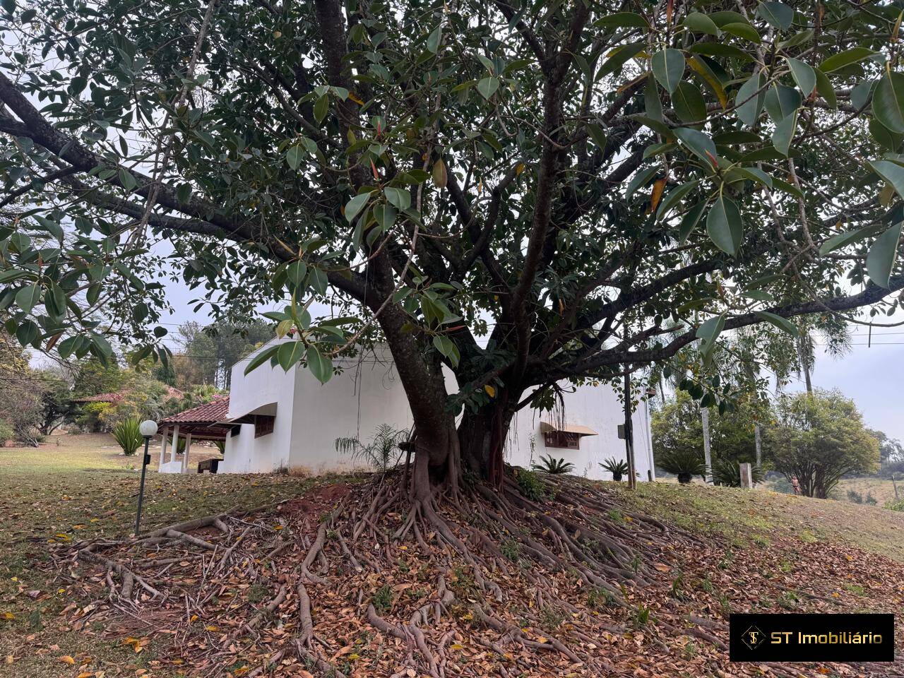 Sítio, 4 quartos, 19 hectares - Foto 55