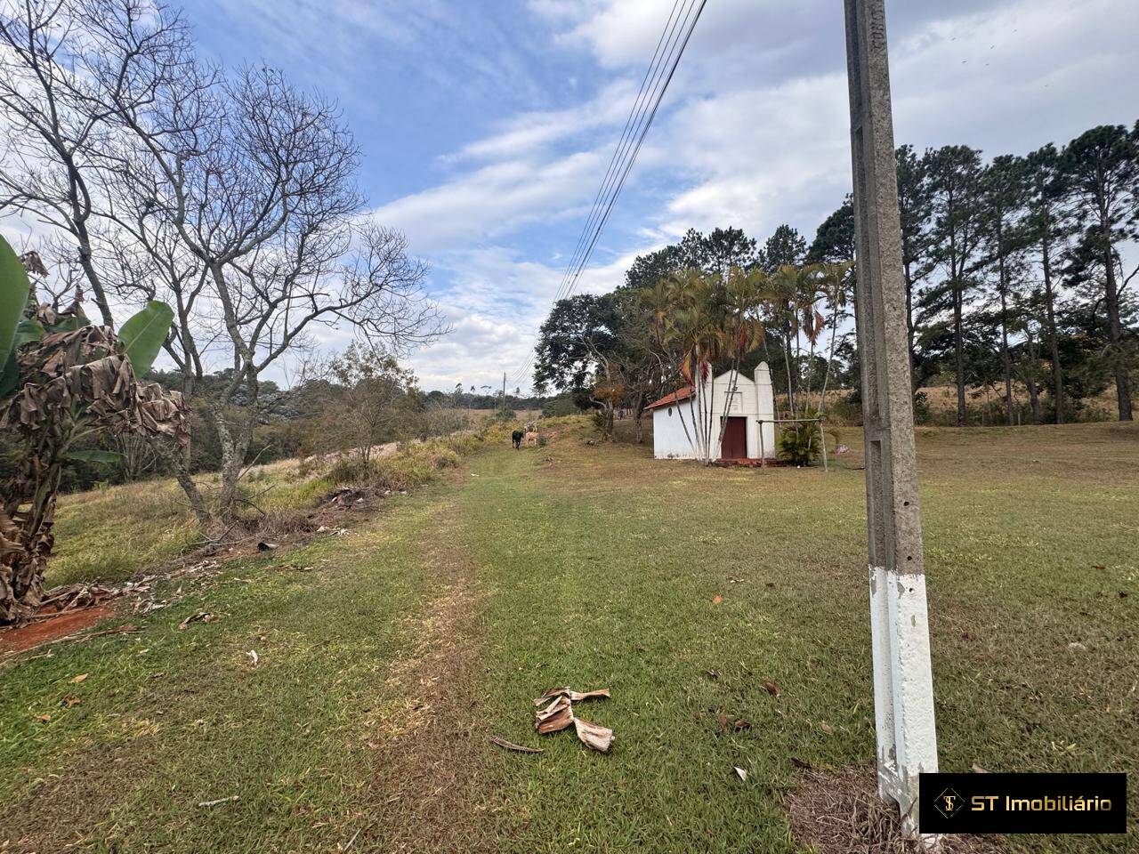 Sítio, 4 quartos, 19 hectares - Foto 73