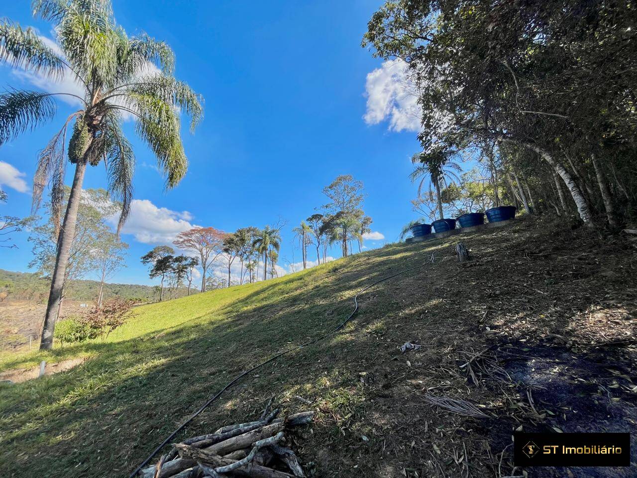 Chácara à venda com 1 quarto, 2000m² - Foto 10