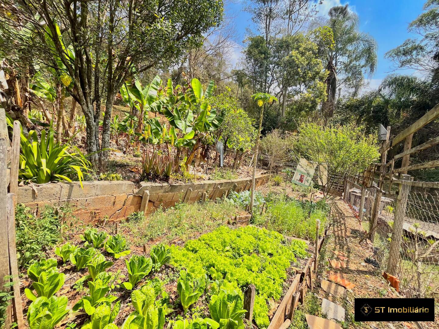 Chácara, 3 quartos, 1680 m² - Foto 19