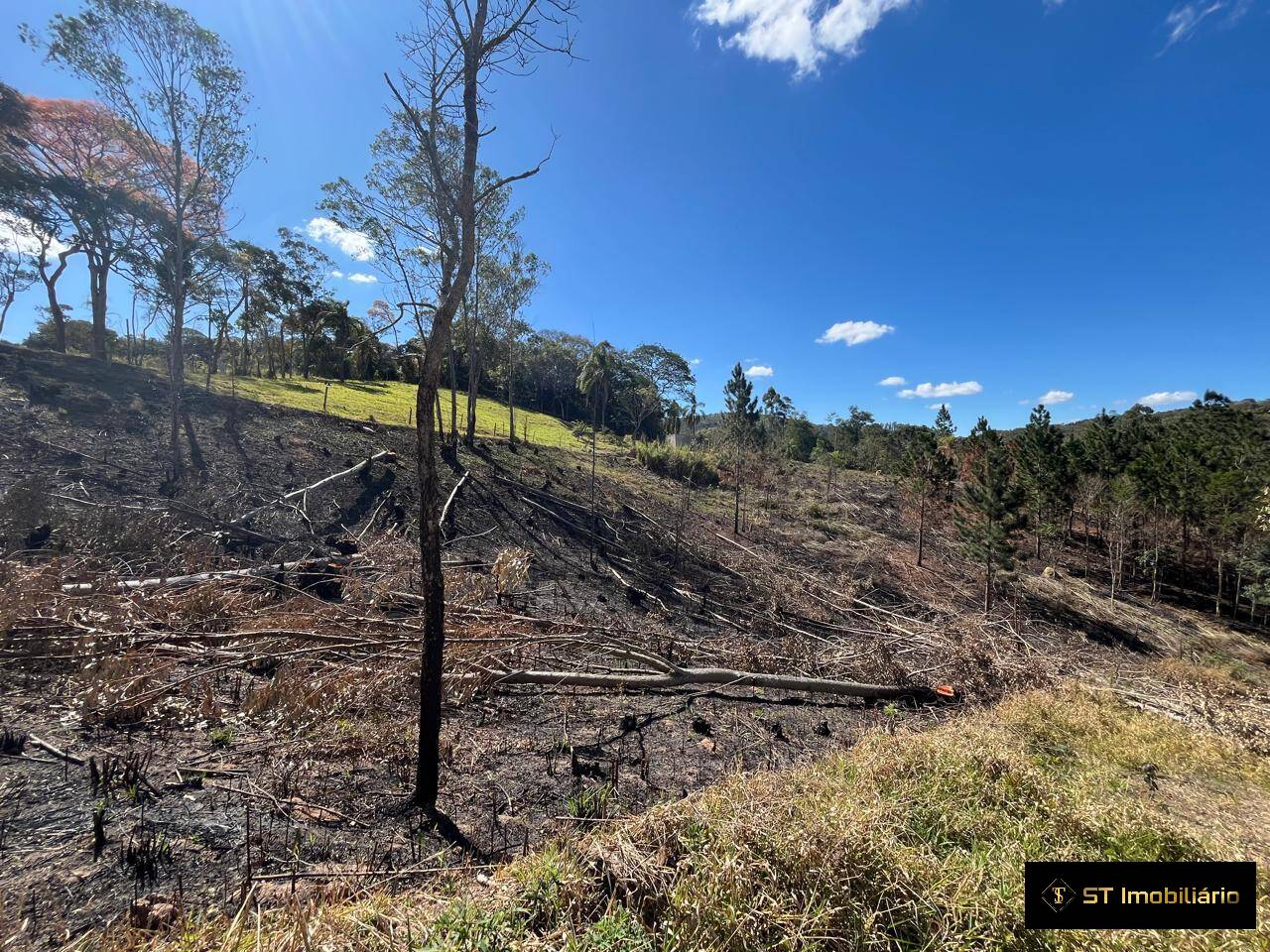 Terreno, 1 hectares - Foto 5