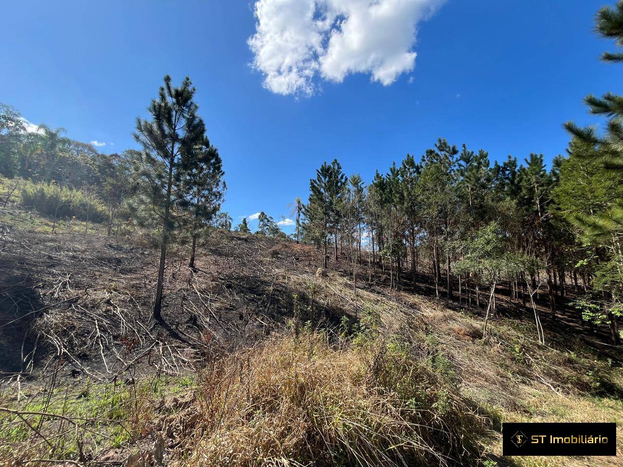 Terreno, 1 hectares - Foto 9