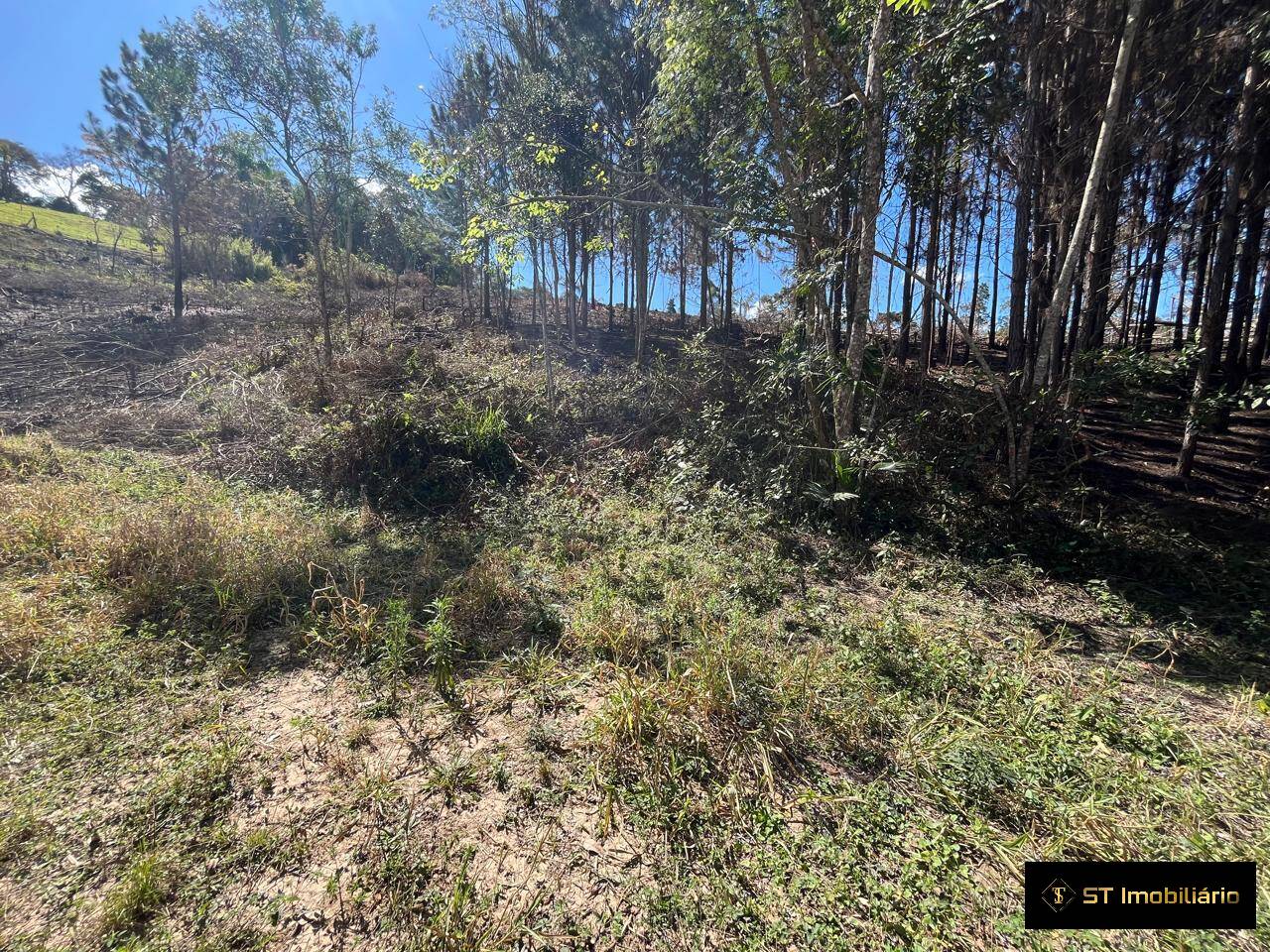 Terreno, 1 hectares - Foto 11