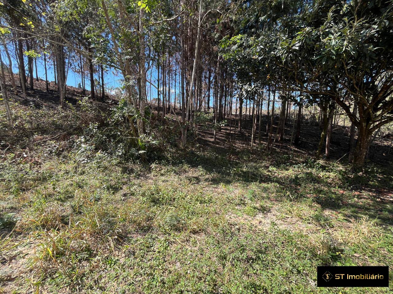 Terreno, 1 hectares - Foto 10