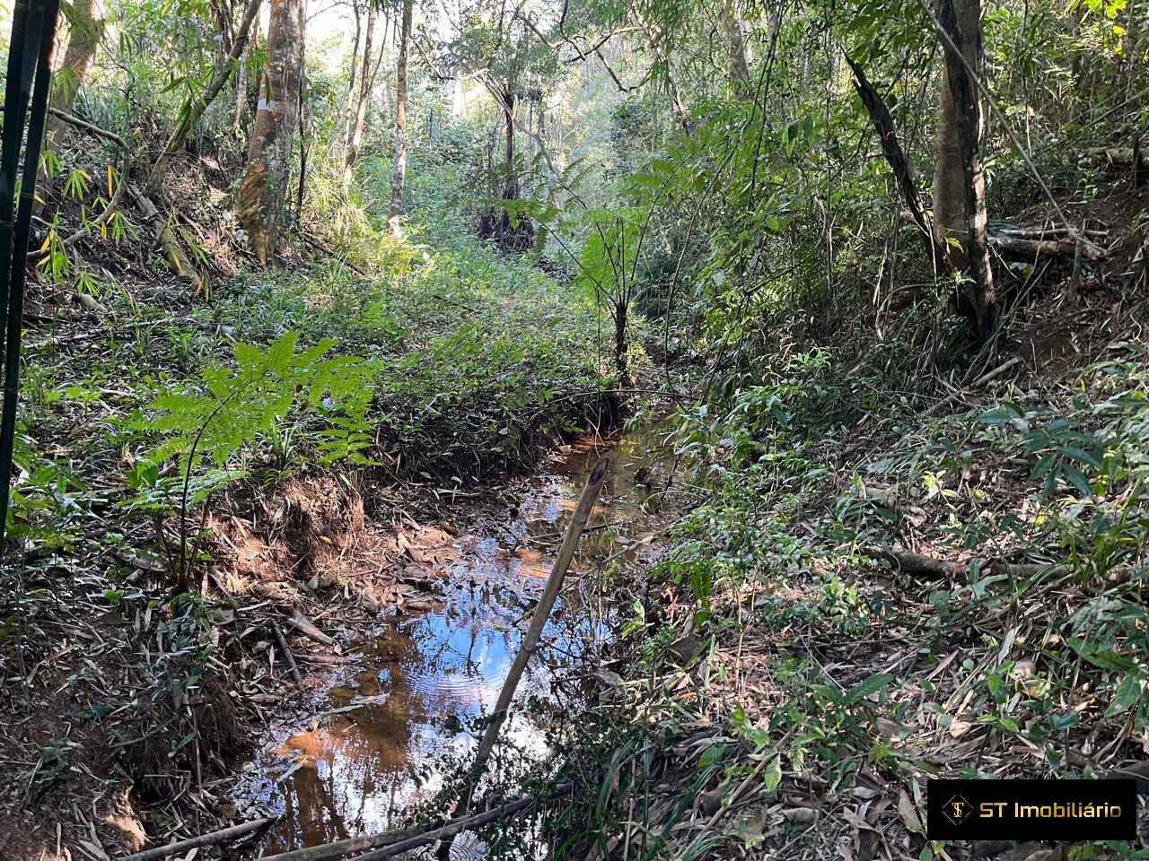 Terreno, 1 hectares - Foto 13