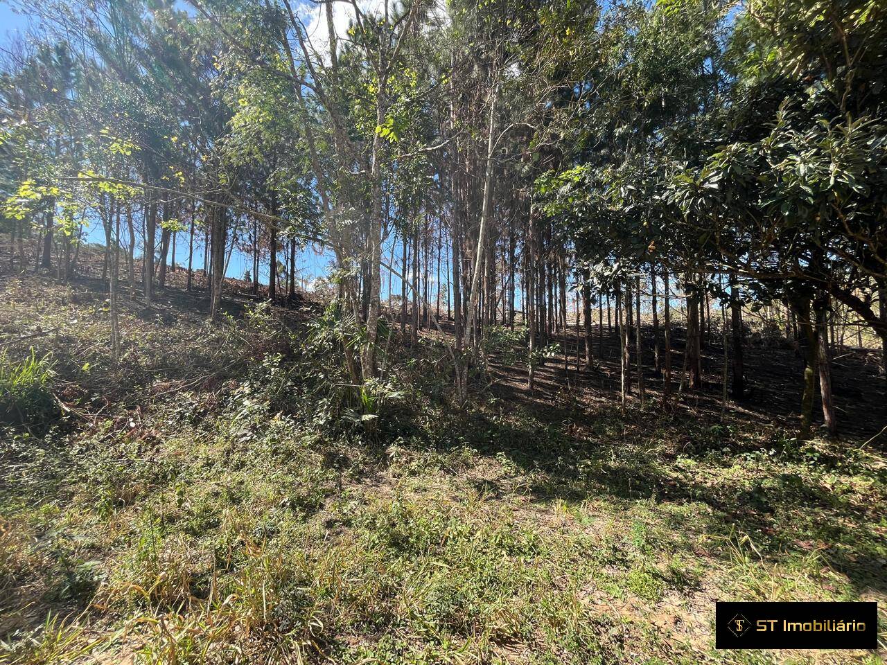 Terreno, 1 hectares - Foto 12