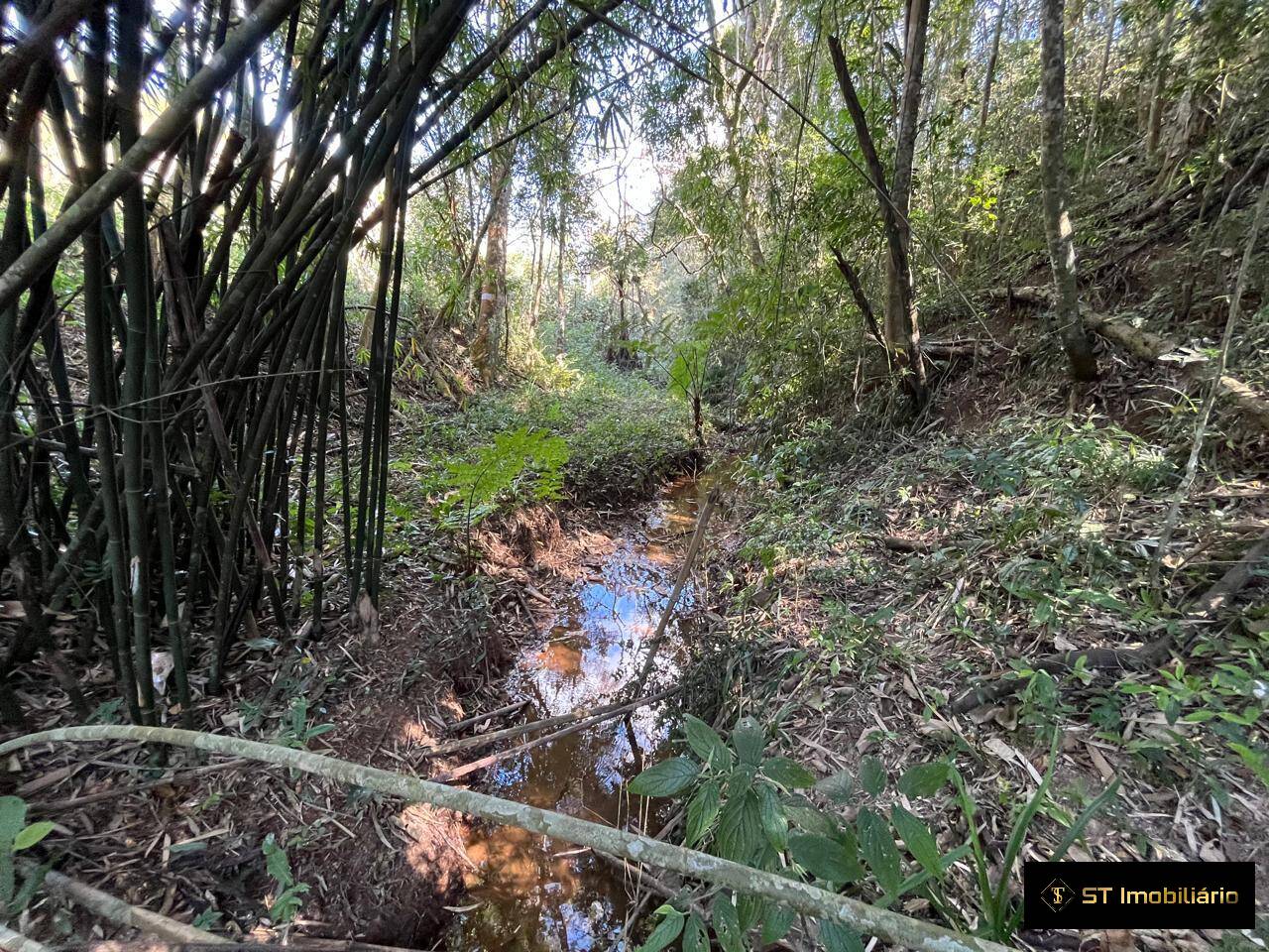 Terreno, 1 hectares - Foto 15