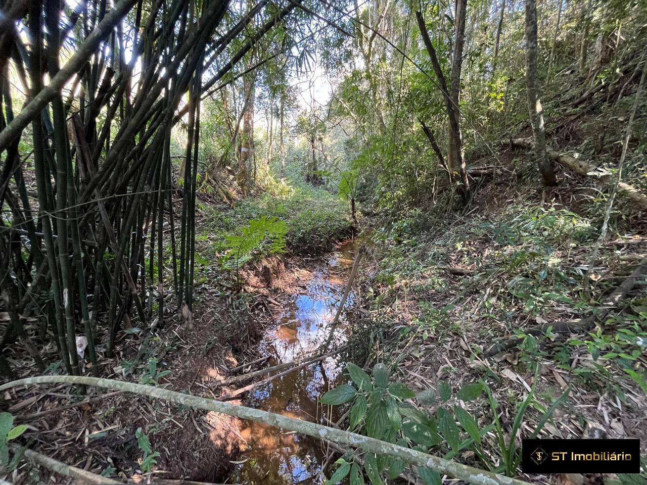 Terreno, 1 hectares - Foto 16