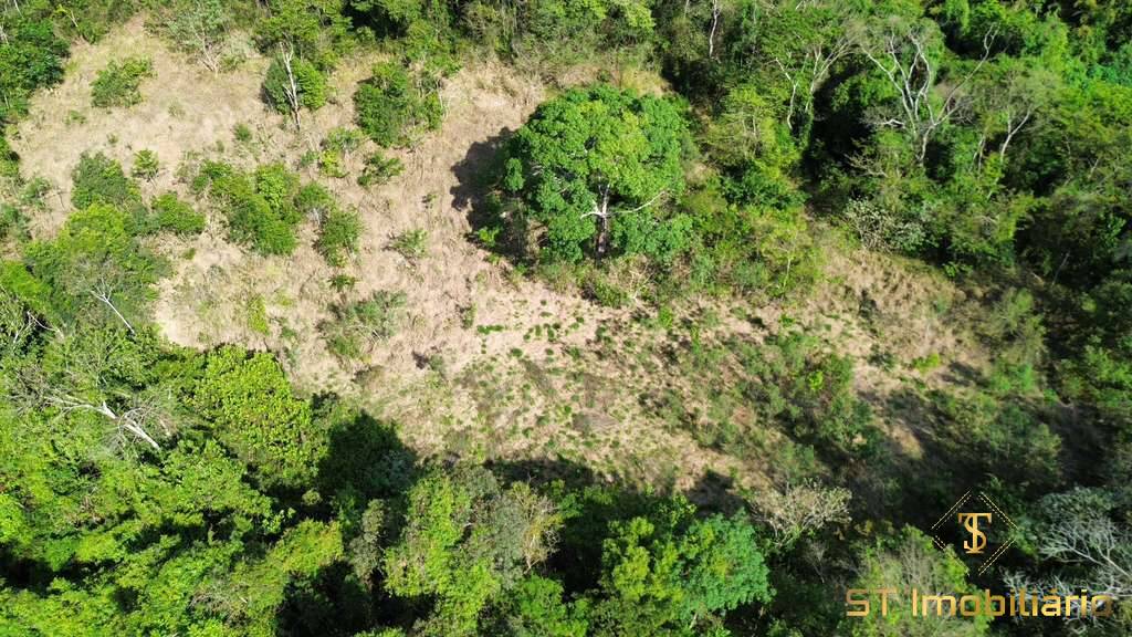 Terreno, 6 hectares - Foto 8