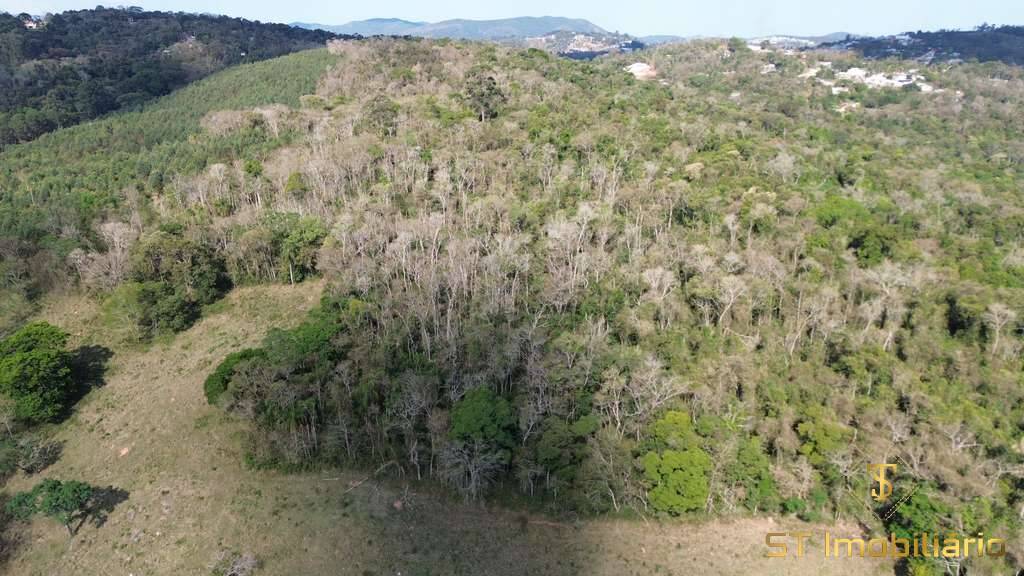 Terreno, 6 hectares - Foto 11