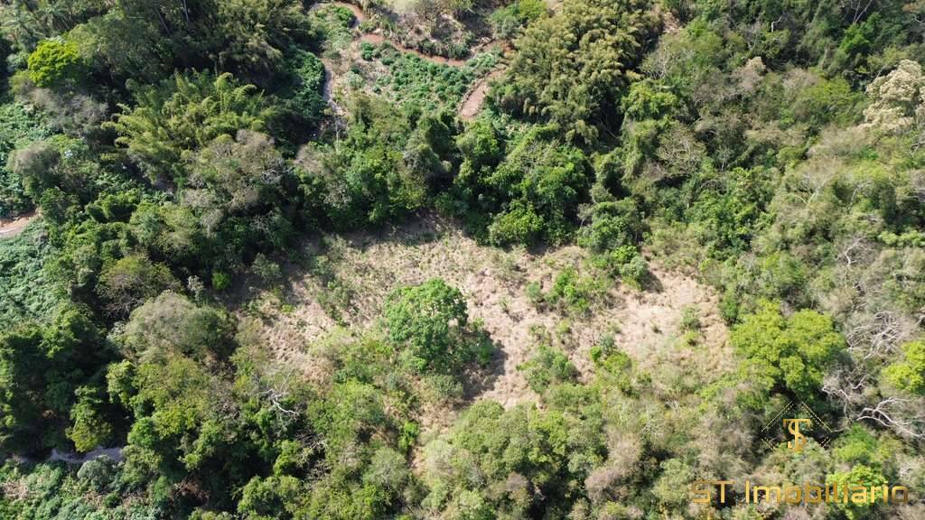 Terreno, 6 hectares - Foto 13