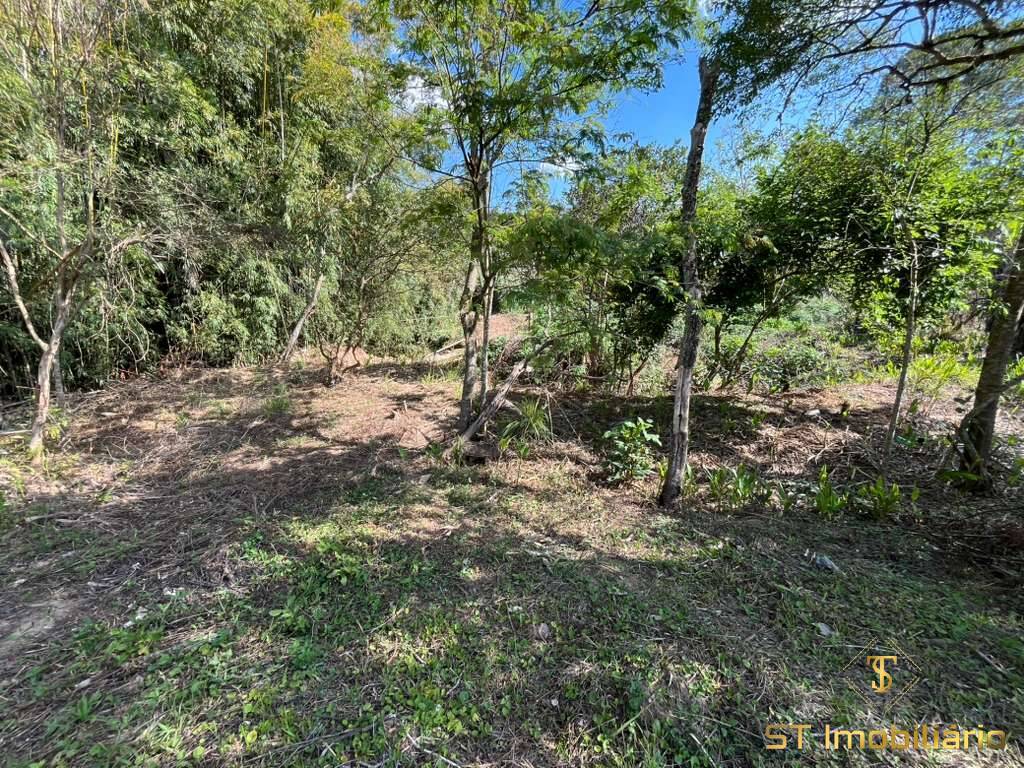 Terreno, 6 hectares - Foto 27