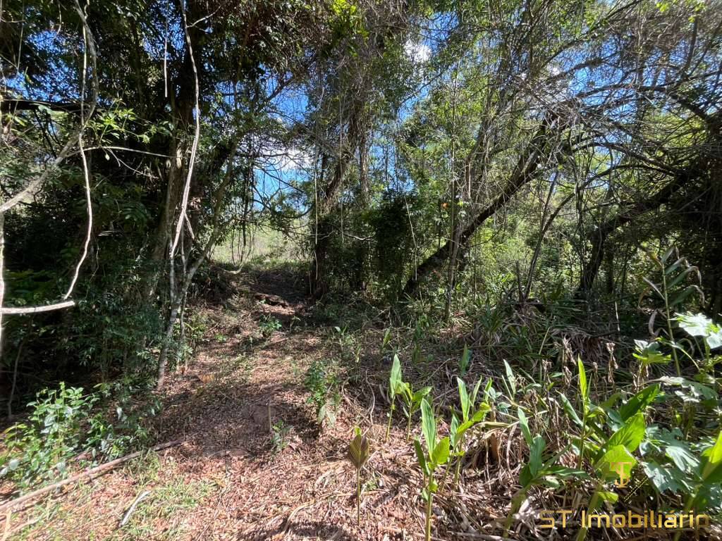 Terreno, 6 hectares - Foto 30