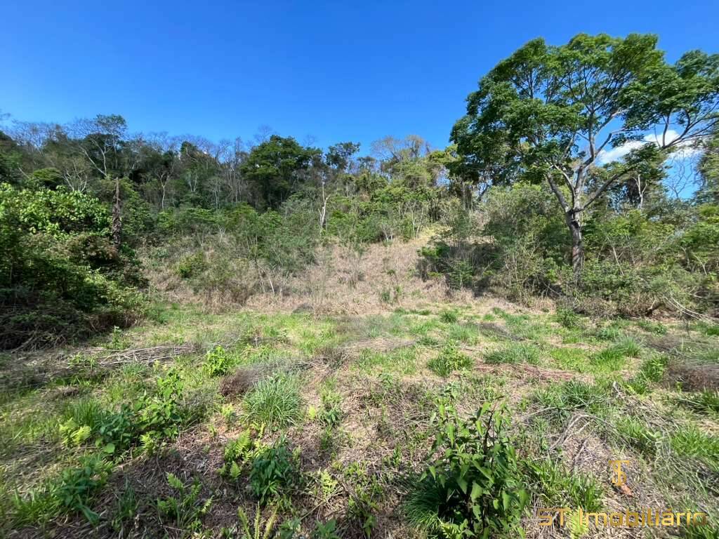 Terreno, 6 hectares - Foto 34