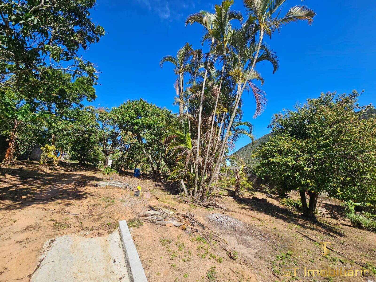 Chácara, 2 quartos, 2500 m² - Foto 17