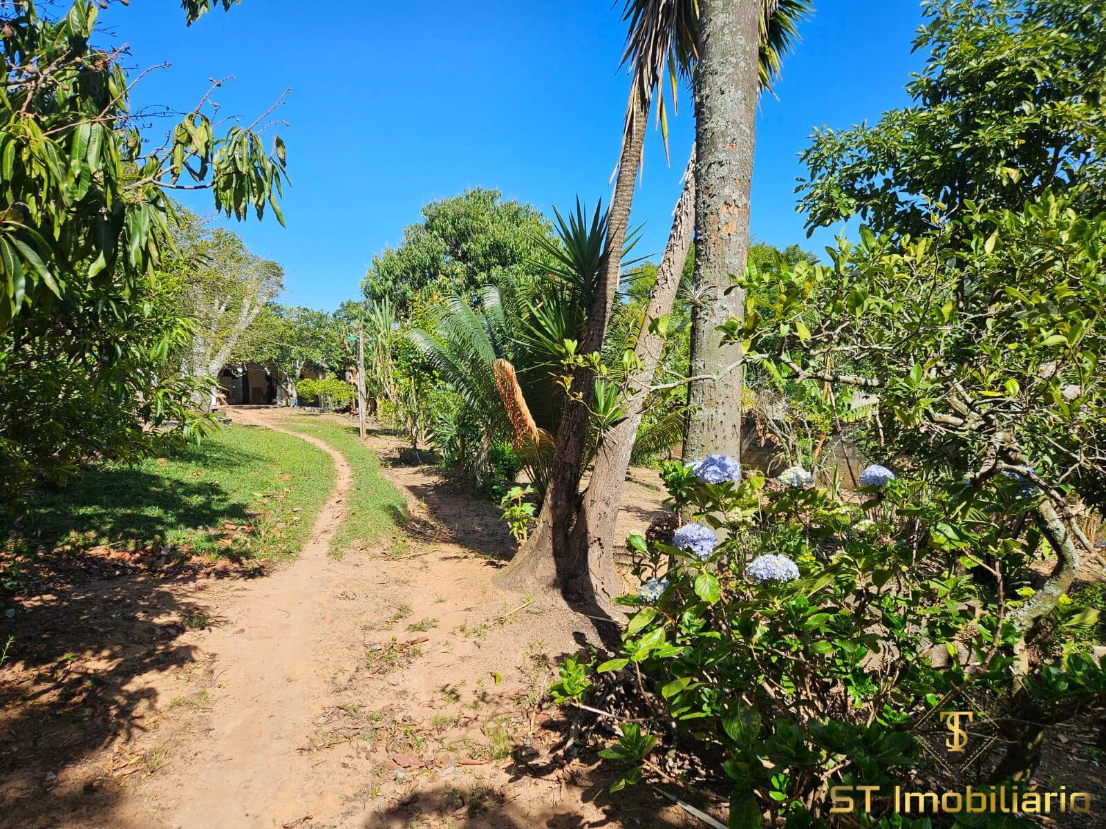 Chácara, 2 quartos, 2500 m² - Foto 20