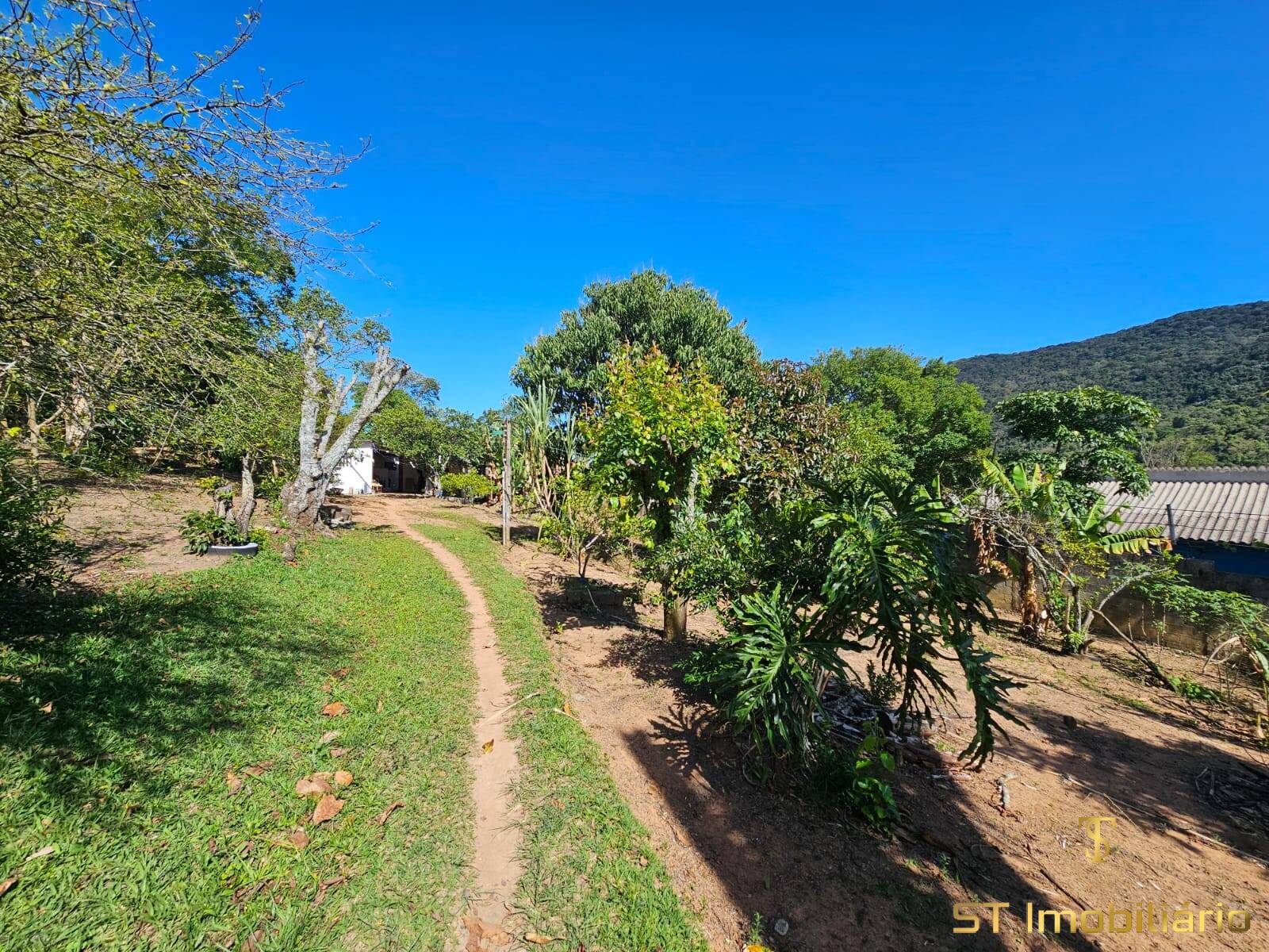 Chácara, 2 quartos, 2500 m² - Foto 21